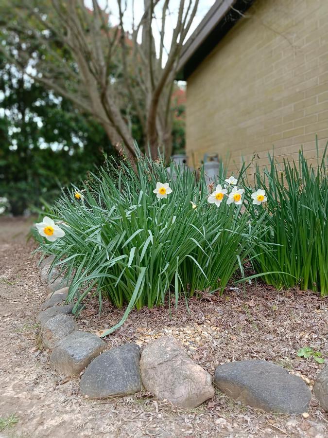 Buffalo Motel And Country Retreat Porepunkah Bagian luar foto