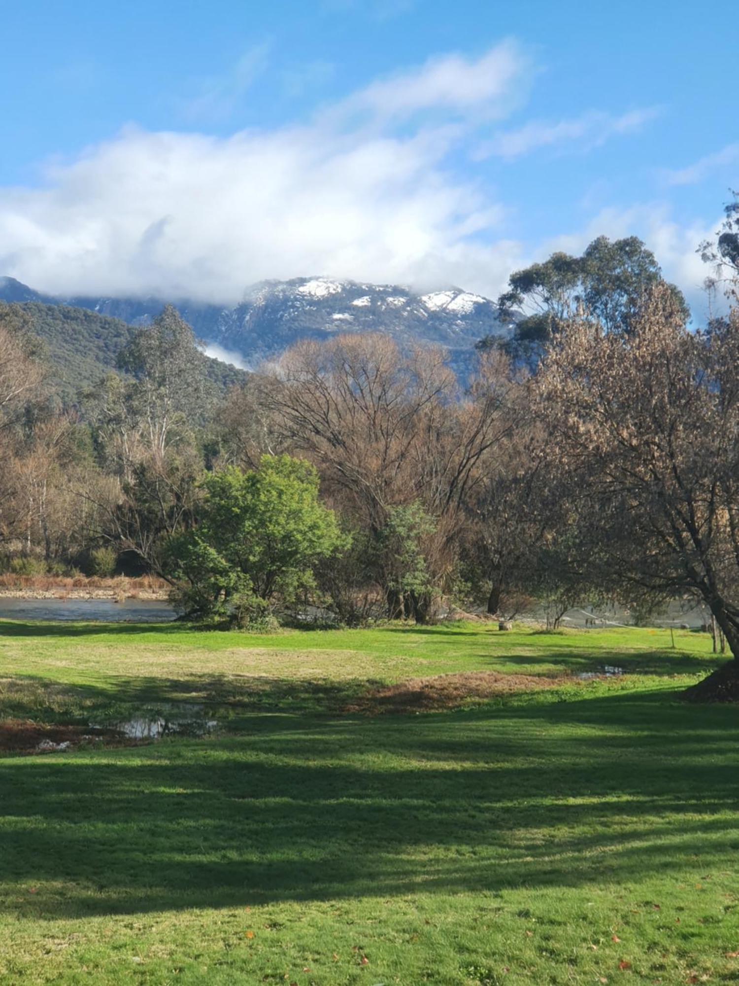 Buffalo Motel And Country Retreat Porepunkah Bagian luar foto
