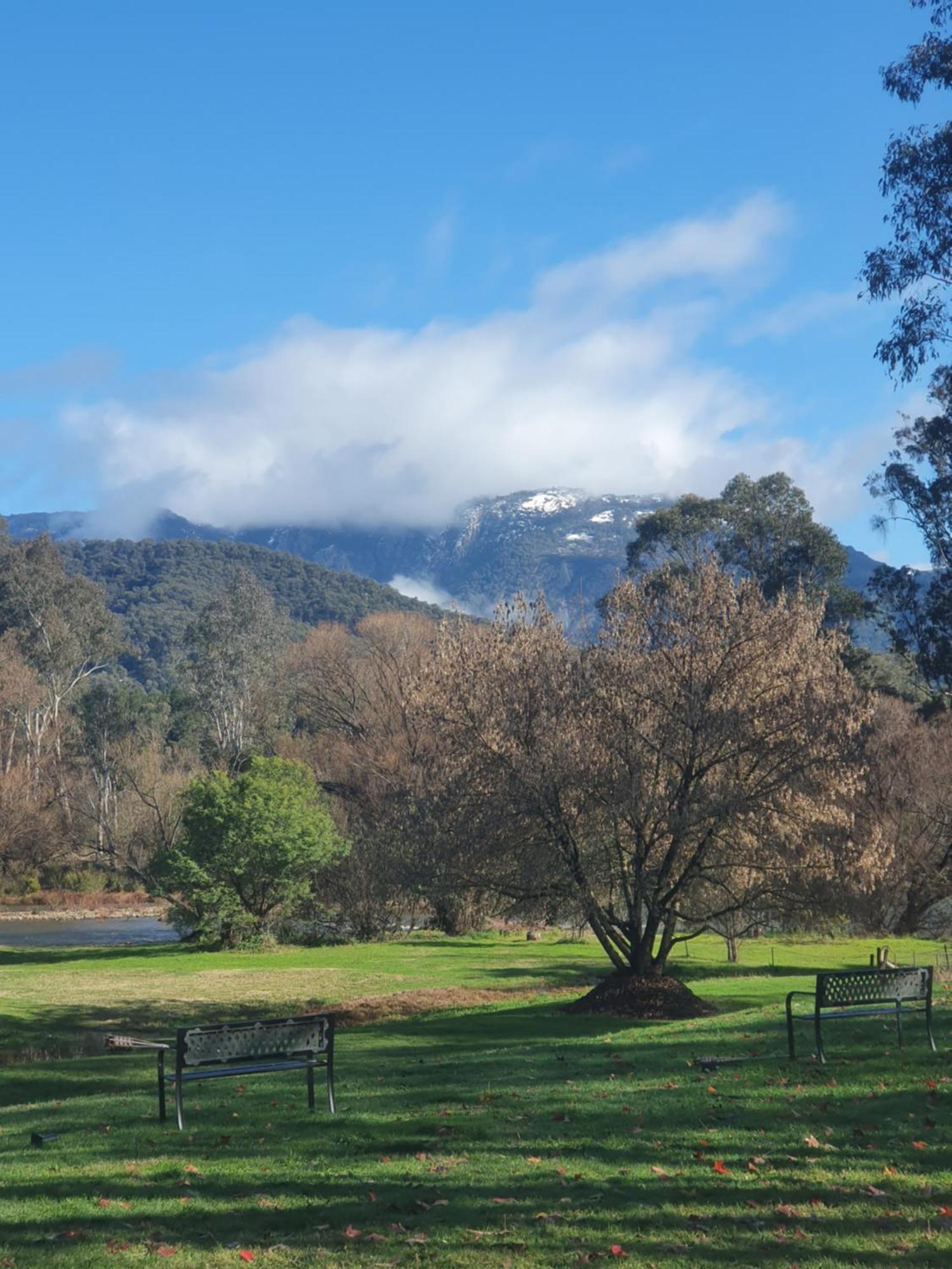 Buffalo Motel And Country Retreat Porepunkah Bagian luar foto